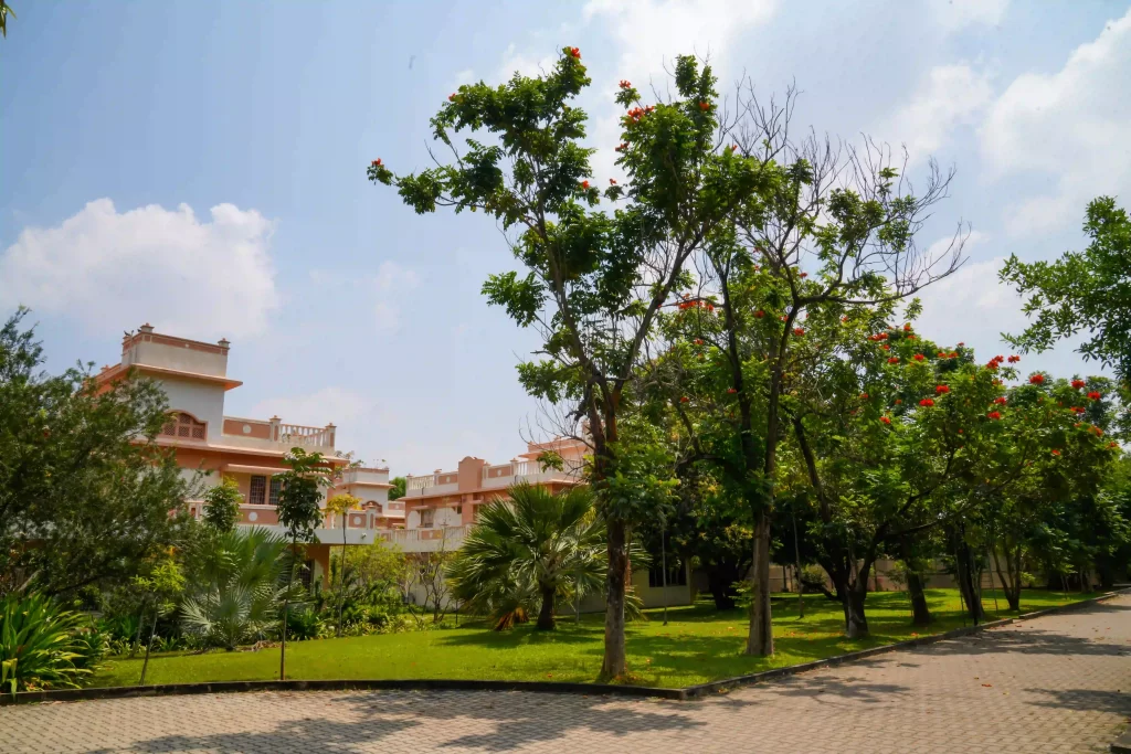 Sattva Rooms Executive2